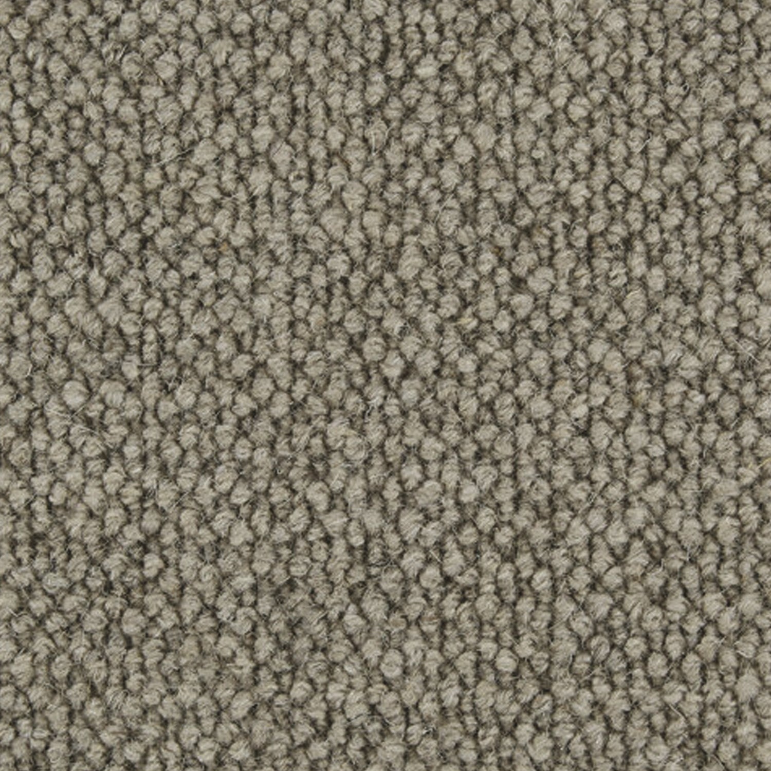 Telenzo Carpets King's Cross 100% Wool Loop Carpet