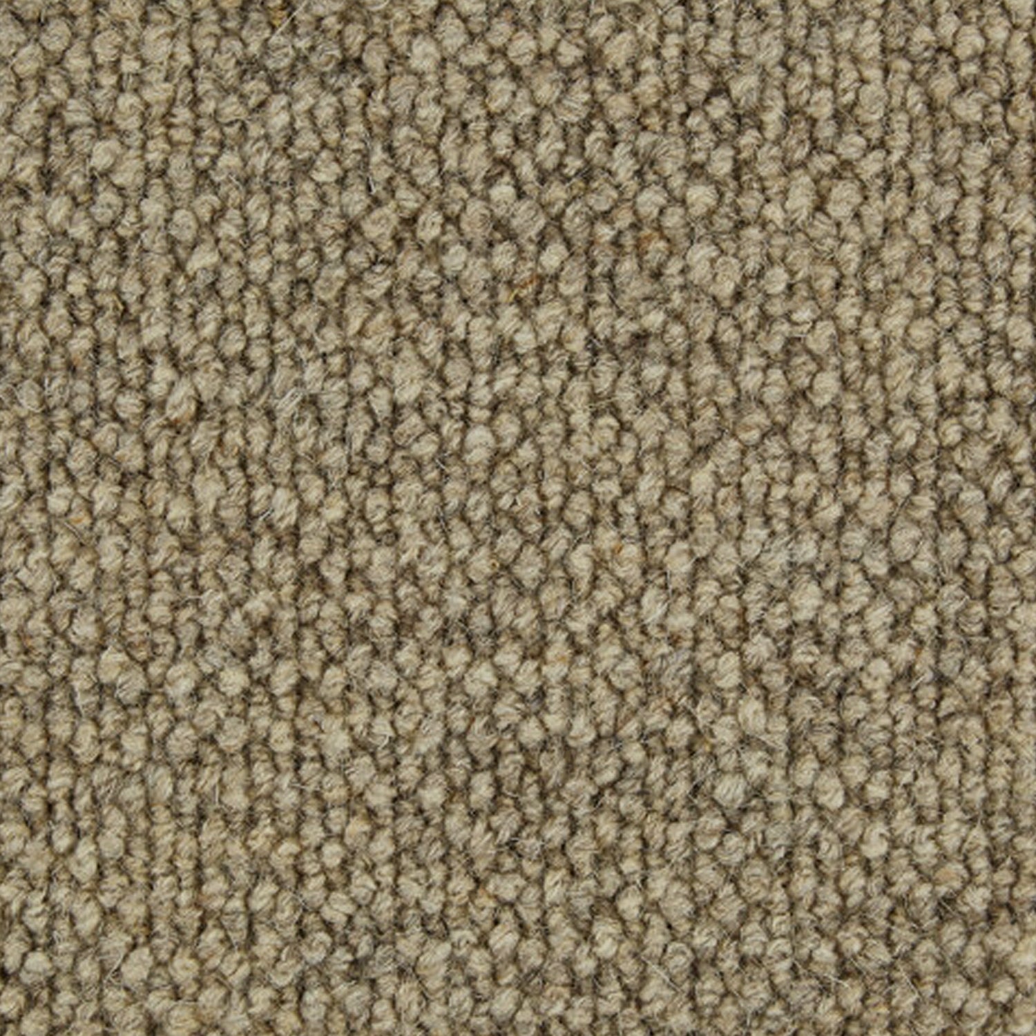 Telenzo Carpets King's Cross 100% Wool Loop Carpet