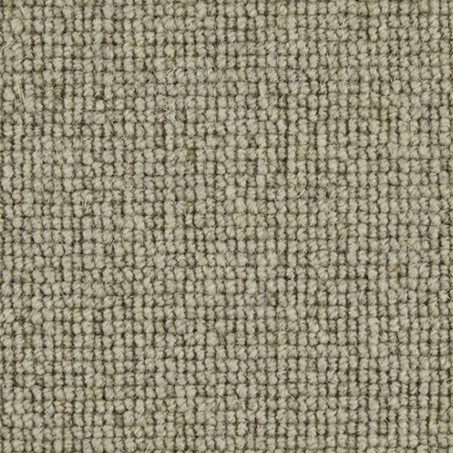 Telenzo Carpets London Bridge 100% Wool Loop Carpet