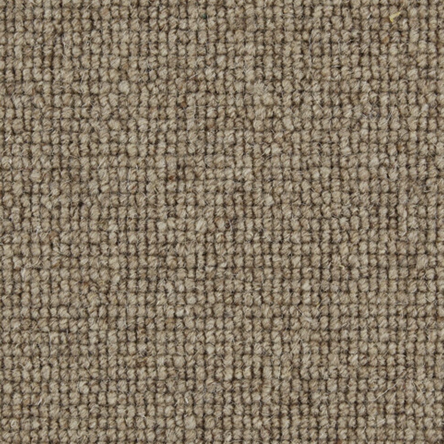 Telenzo Carpets London Bridge 100% Wool Loop Carpet
