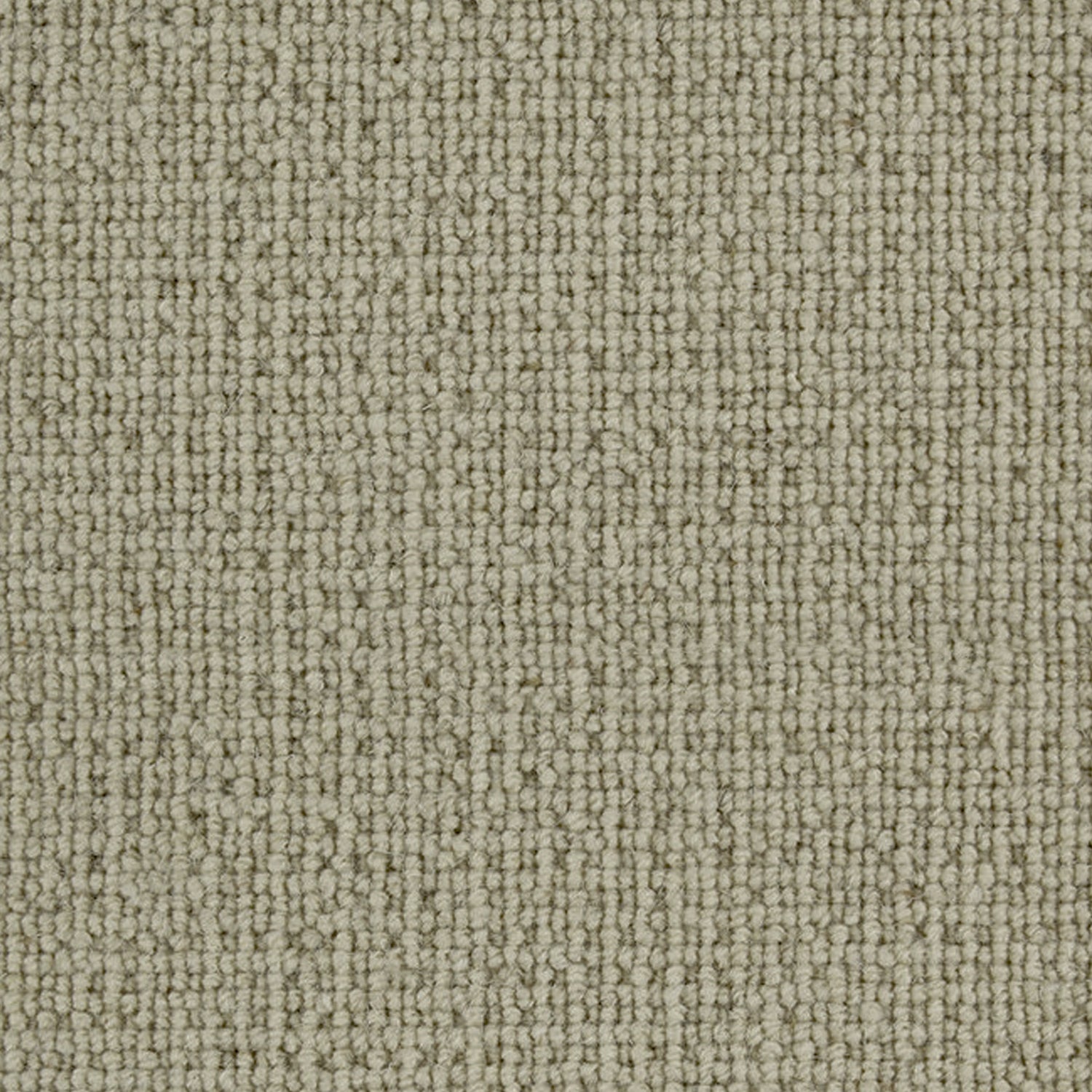 Telenzo Carpets Paddington 100% Wool Loop Carpet