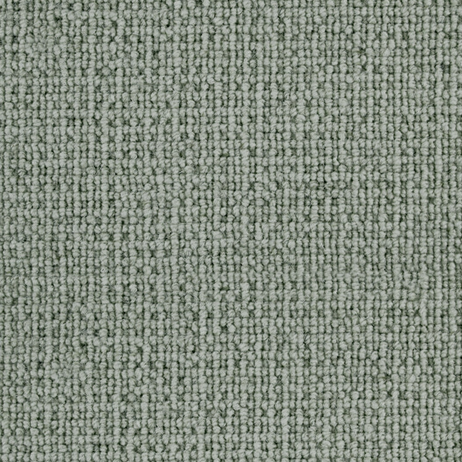 Telenzo Carpets Paddington 100% Wool Loop Carpet