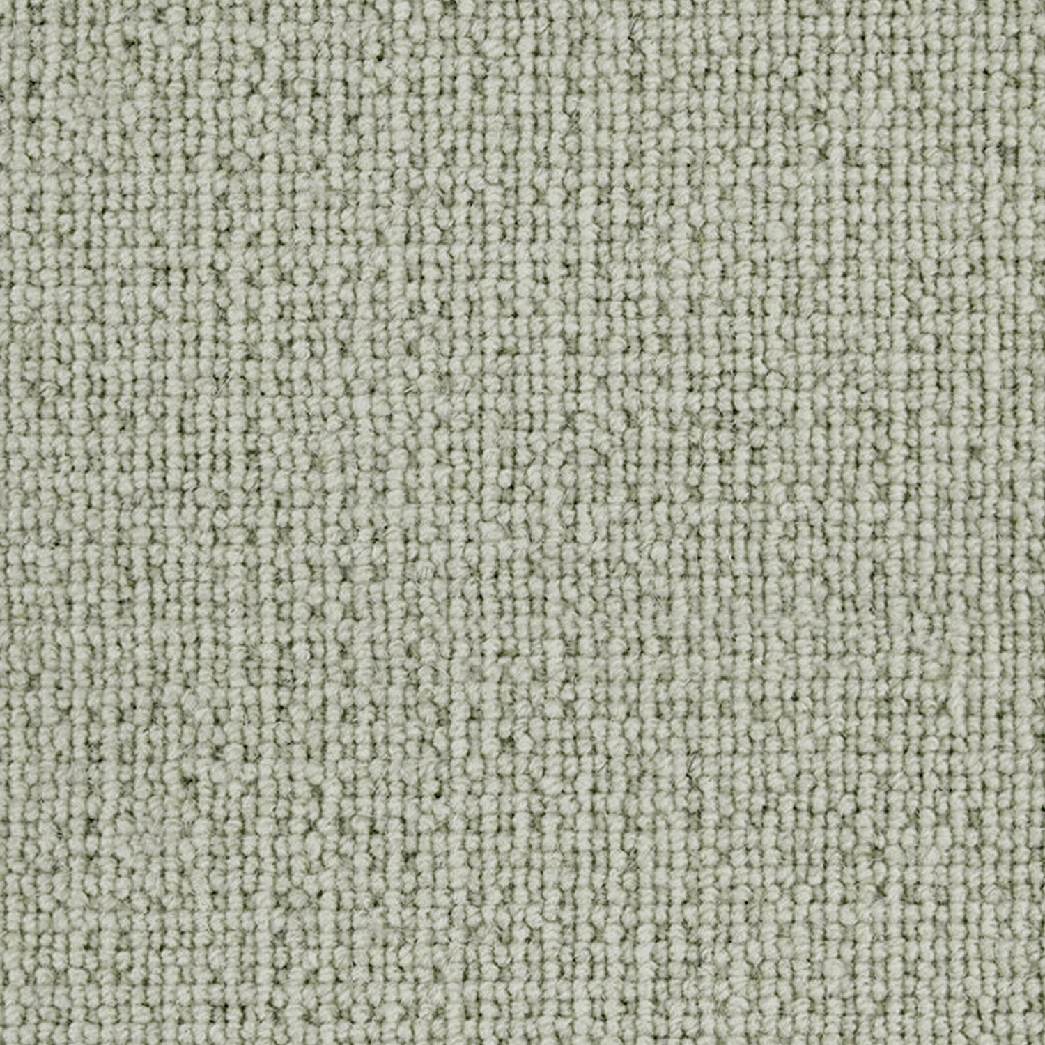 Telenzo Carpets Paddington 100% Wool Loop Carpet