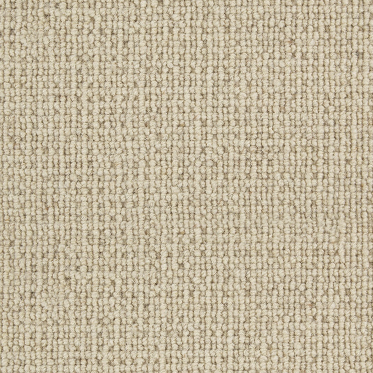 Telenzo Carpets Paddington 100% Wool Loop Carpet