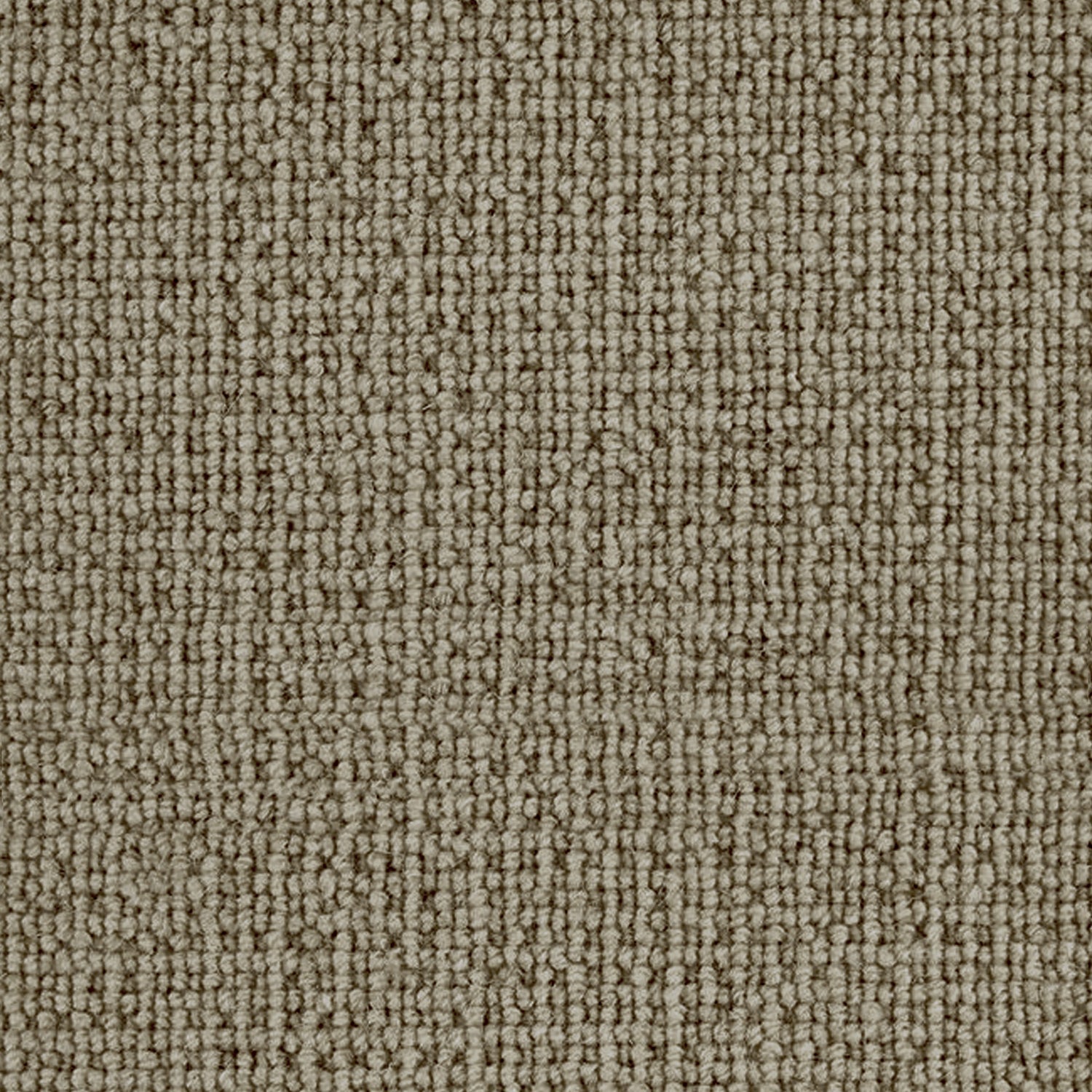 Telenzo Carpets Paddington 100% Wool Loop Carpet