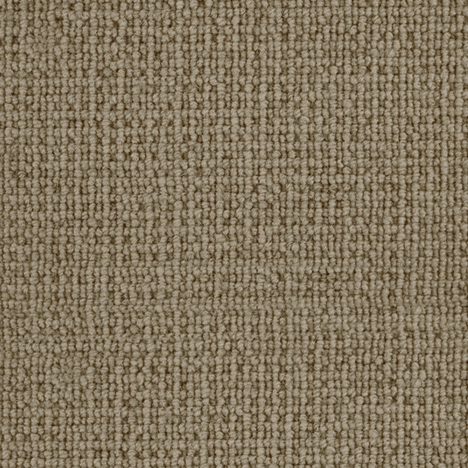 Telenzo Carpets Paddington 100% Wool Loop Carpet