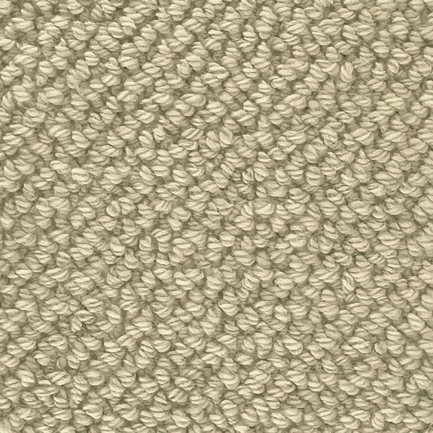 Telenzo Rya 100% Wool Loop Carpet