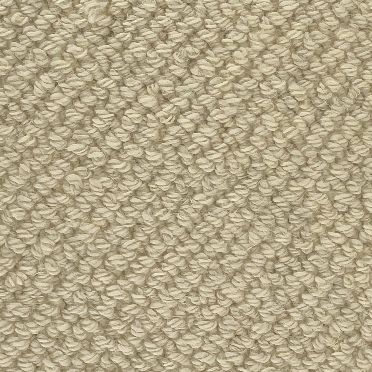 Telenzo Rya 100% Wool Loop Carpet