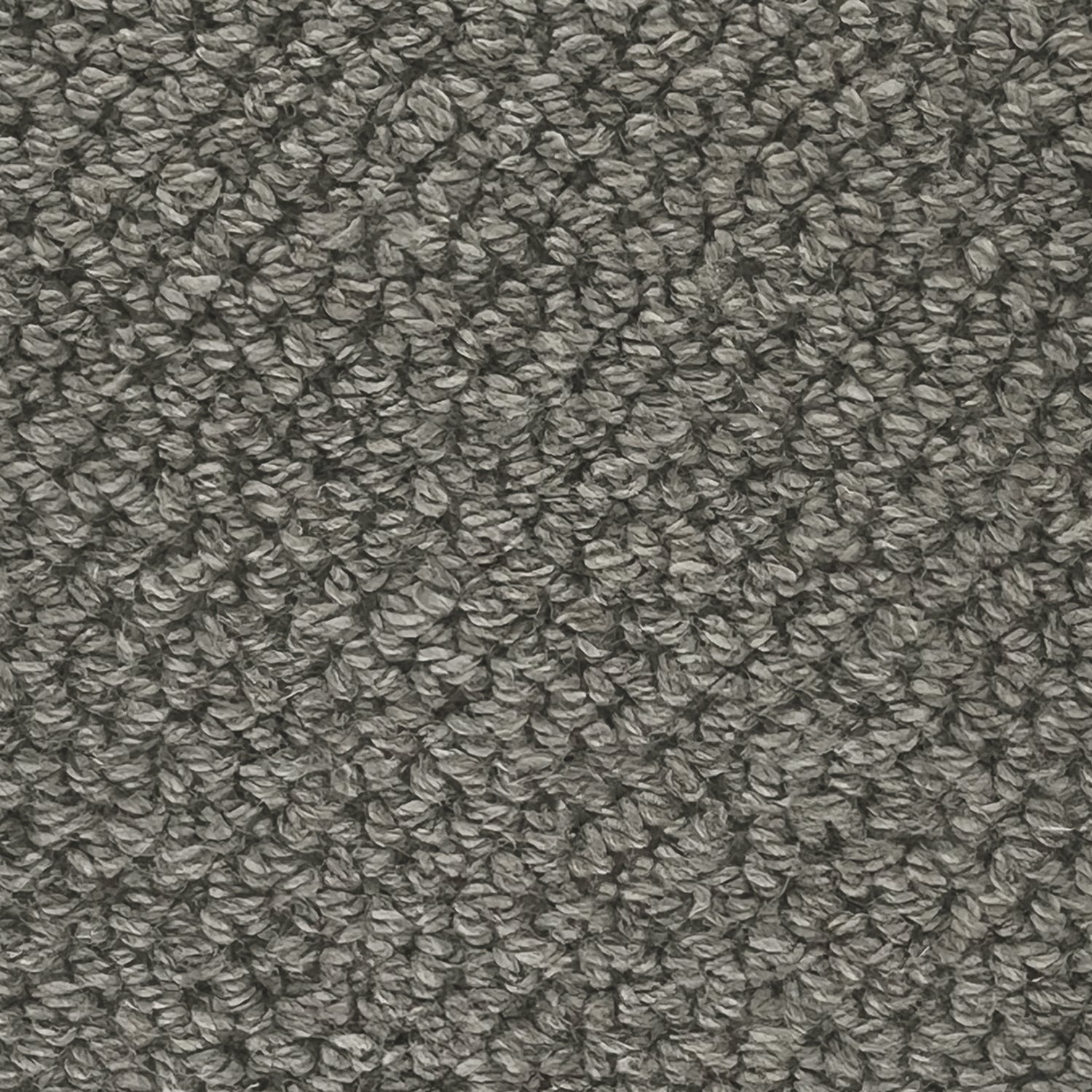 Telenzo Rya 100% Wool Loop Carpet