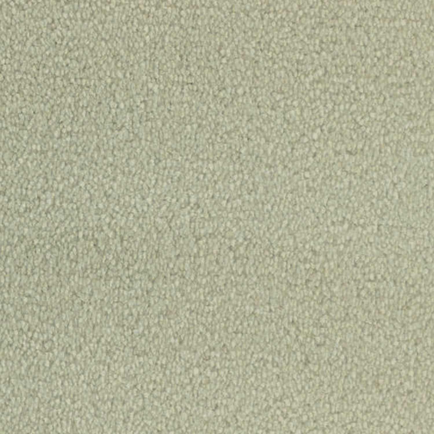 Telenzo Whisper 100% Nylon Velvet Carpet