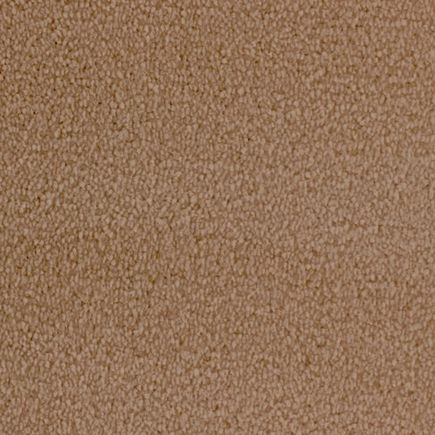 Telenzo Whisper 100% Nylon Velvet Carpet