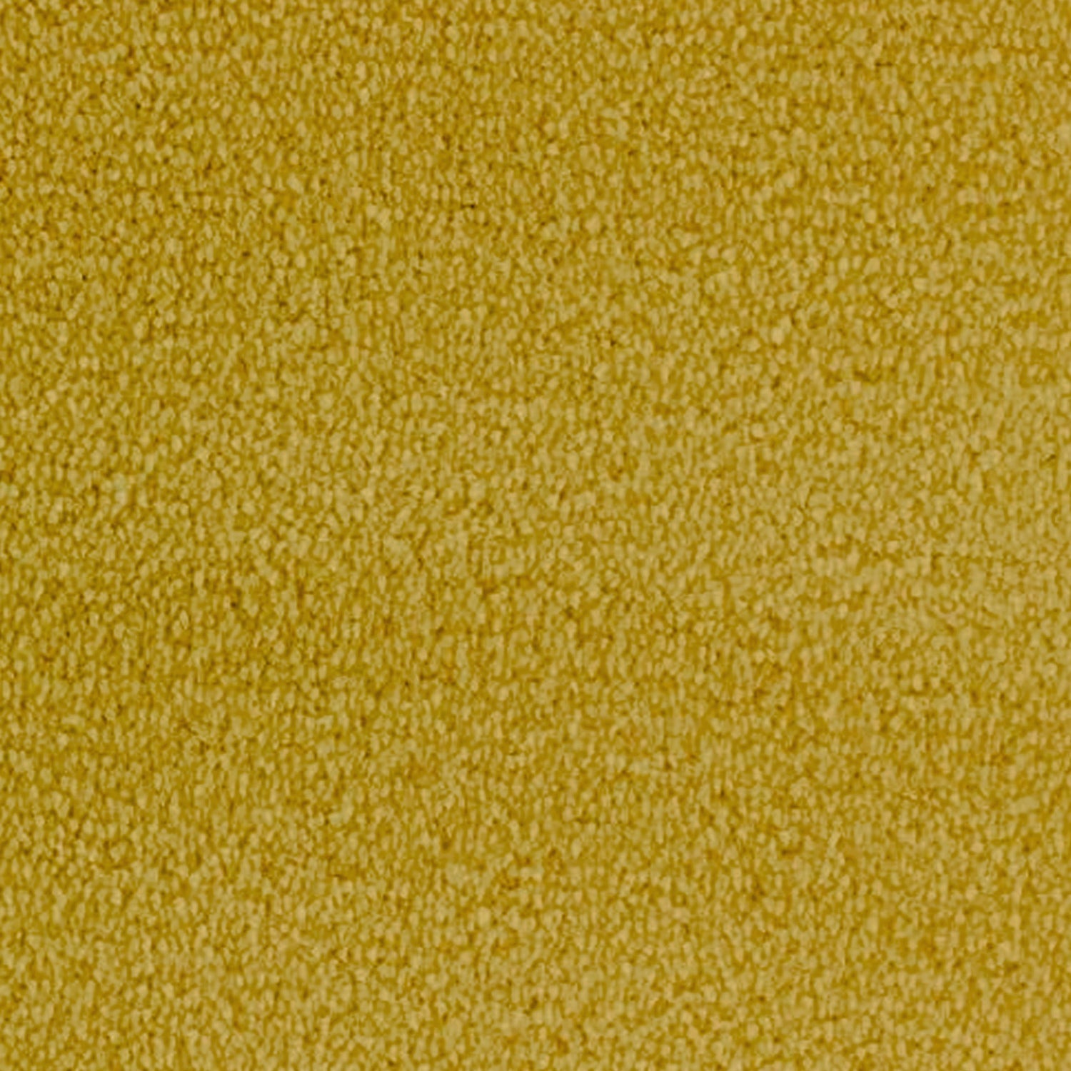 Telenzo Whisper 100% Nylon Velvet Carpet
