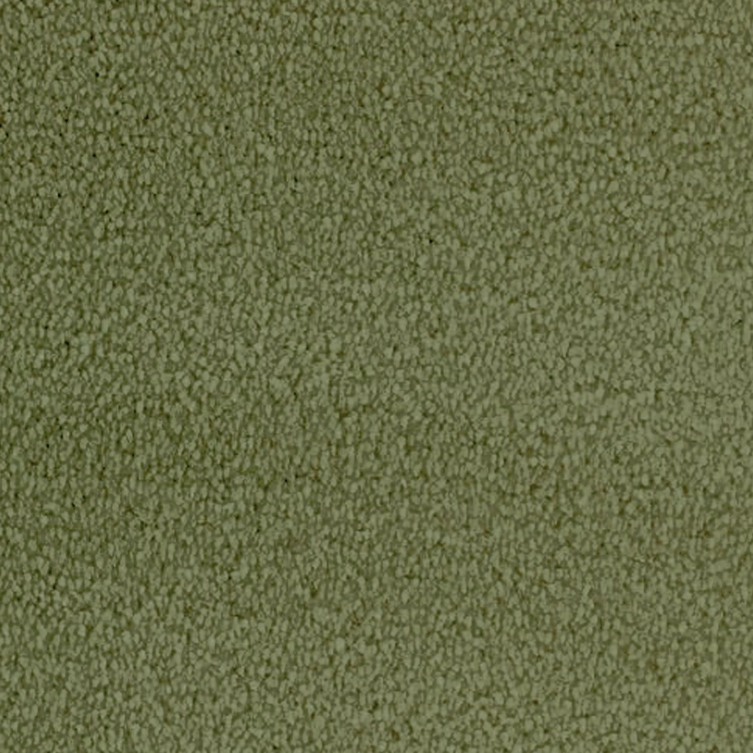 Telenzo Whisper 100% Nylon Velvet Carpet