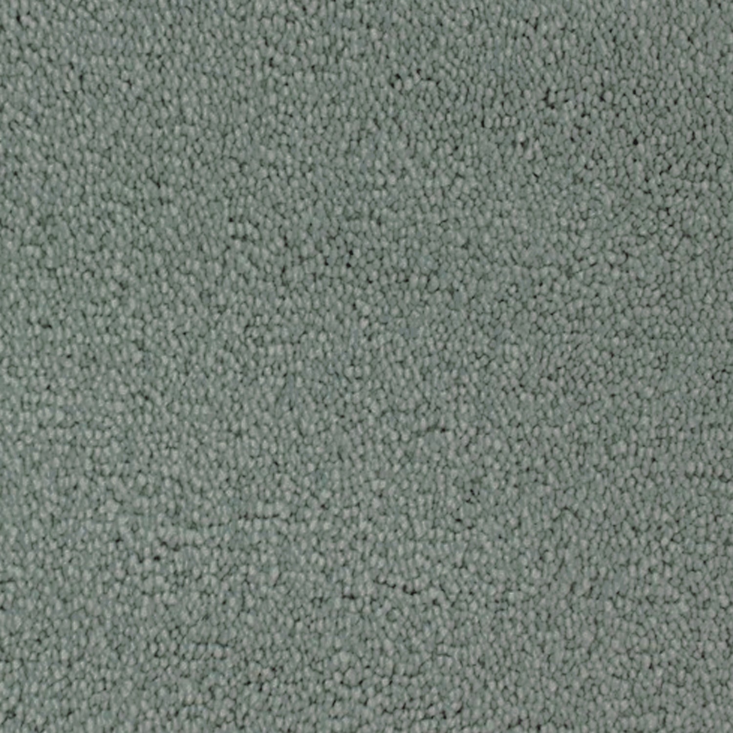 Telenzo Whisper 100% Nylon Velvet Carpet