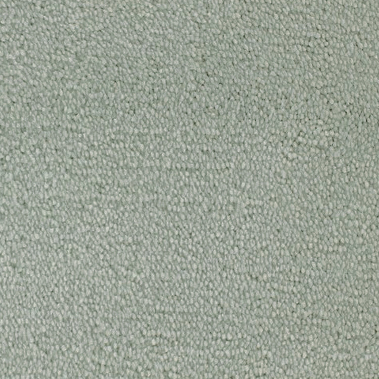 Telenzo Whisper 100% Nylon Velvet Carpet