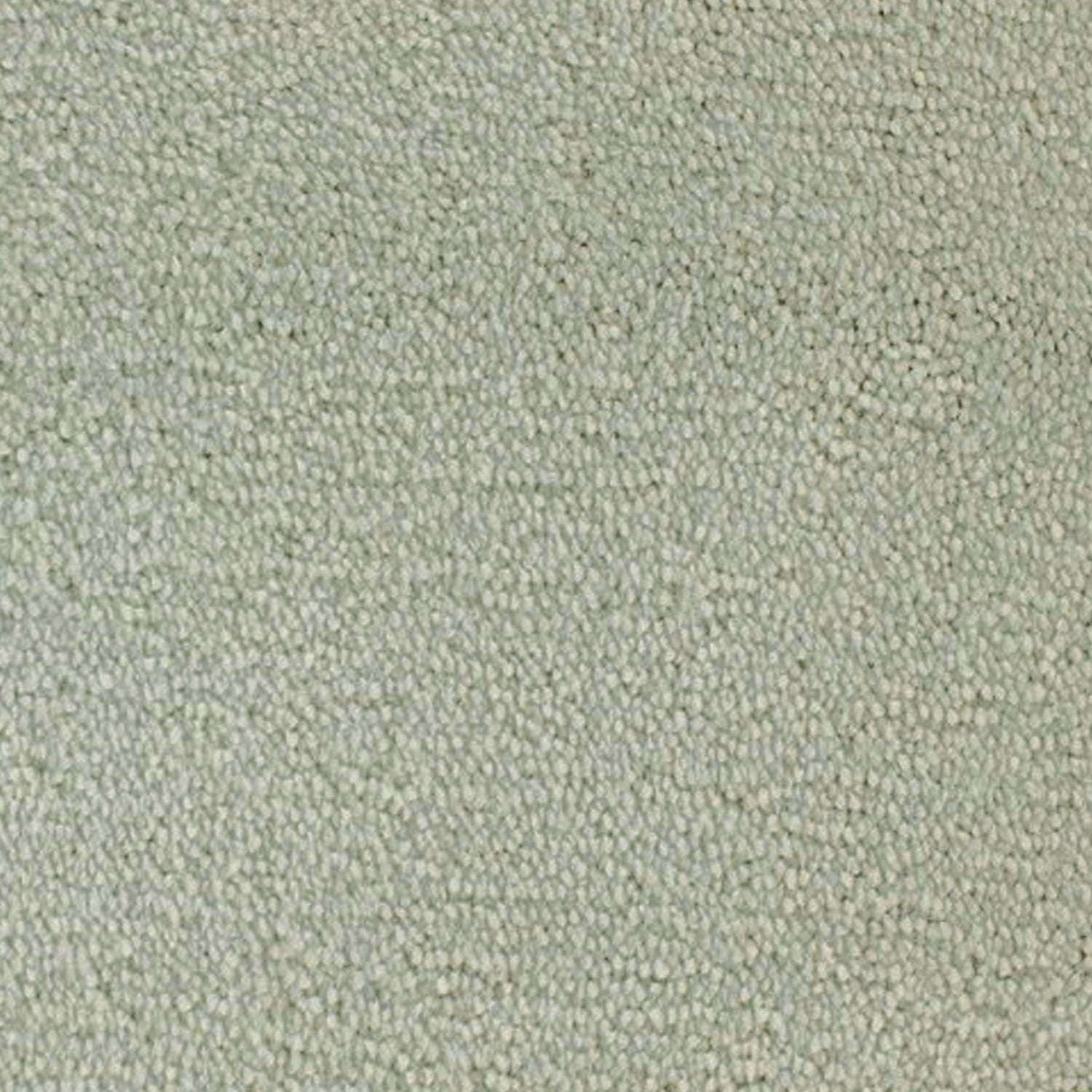 Telenzo Whisper 100% Nylon Velvet Carpet