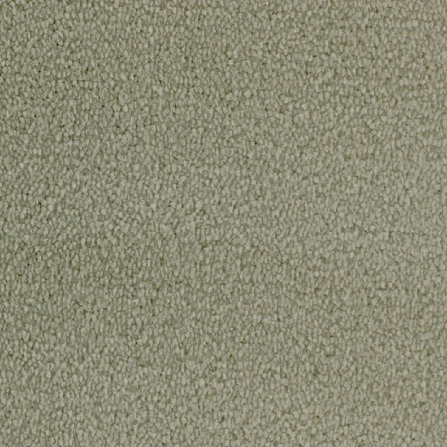 Telenzo Whisper 100% Nylon Velvet Carpet