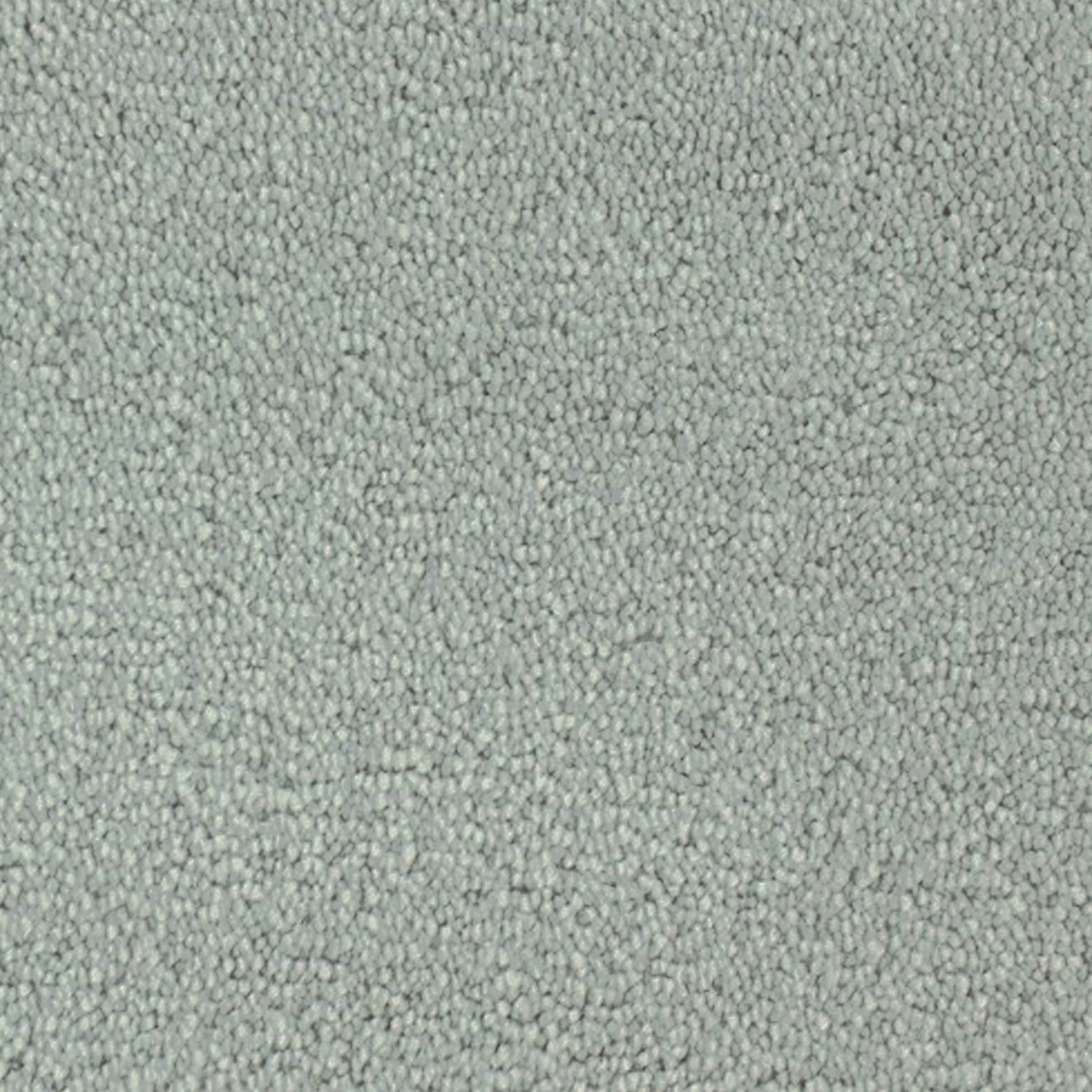 Telenzo Whisper 100% Nylon Velvet Carpet