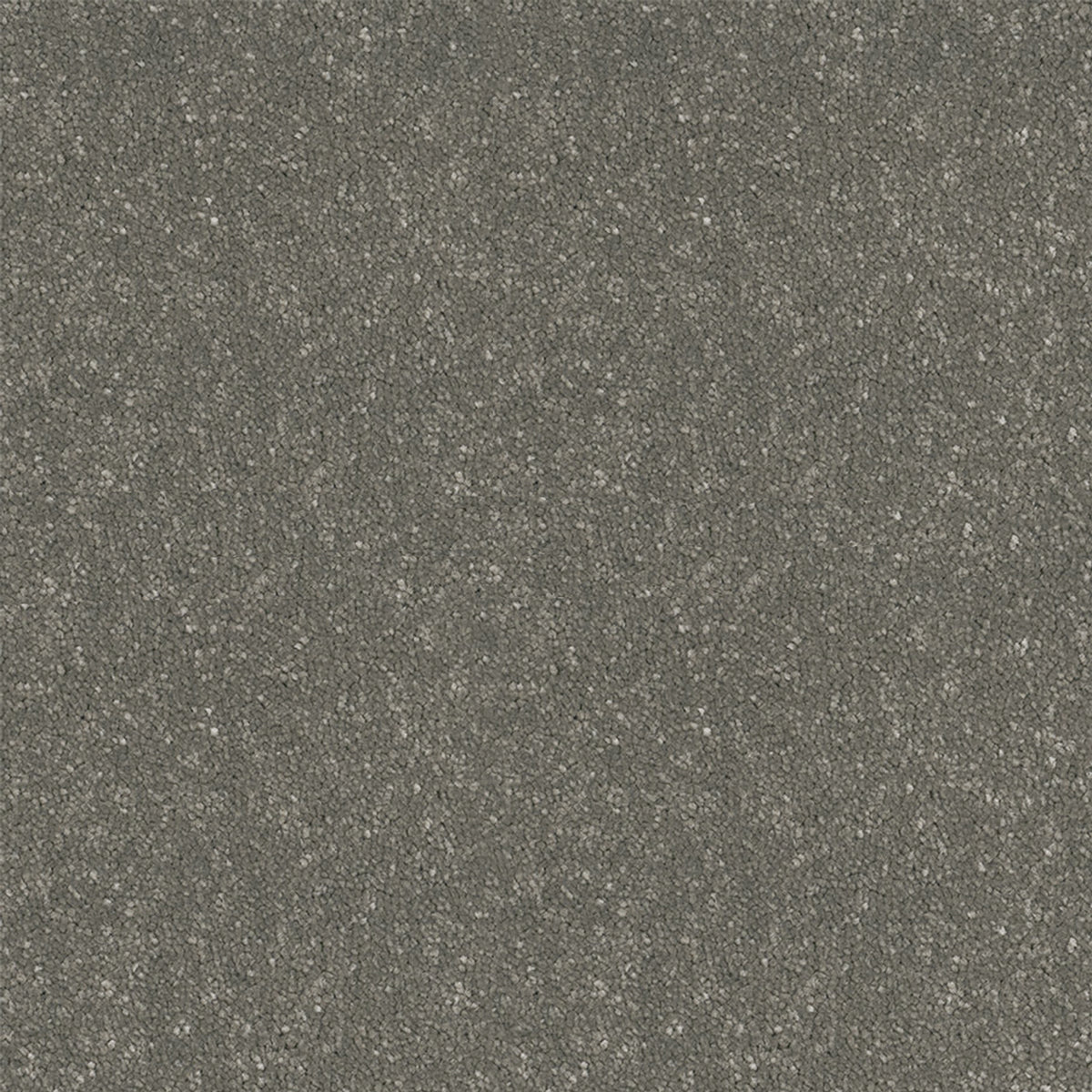 Victoria Carpets First Impressions Twist