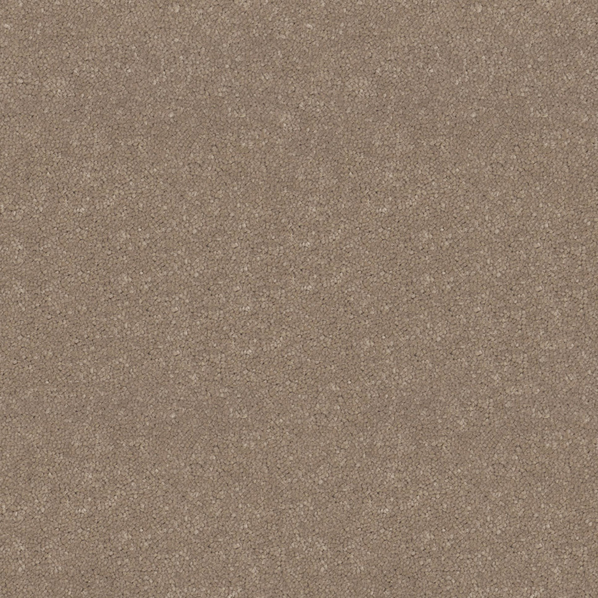 Victoria Carpets First Impressions Twist