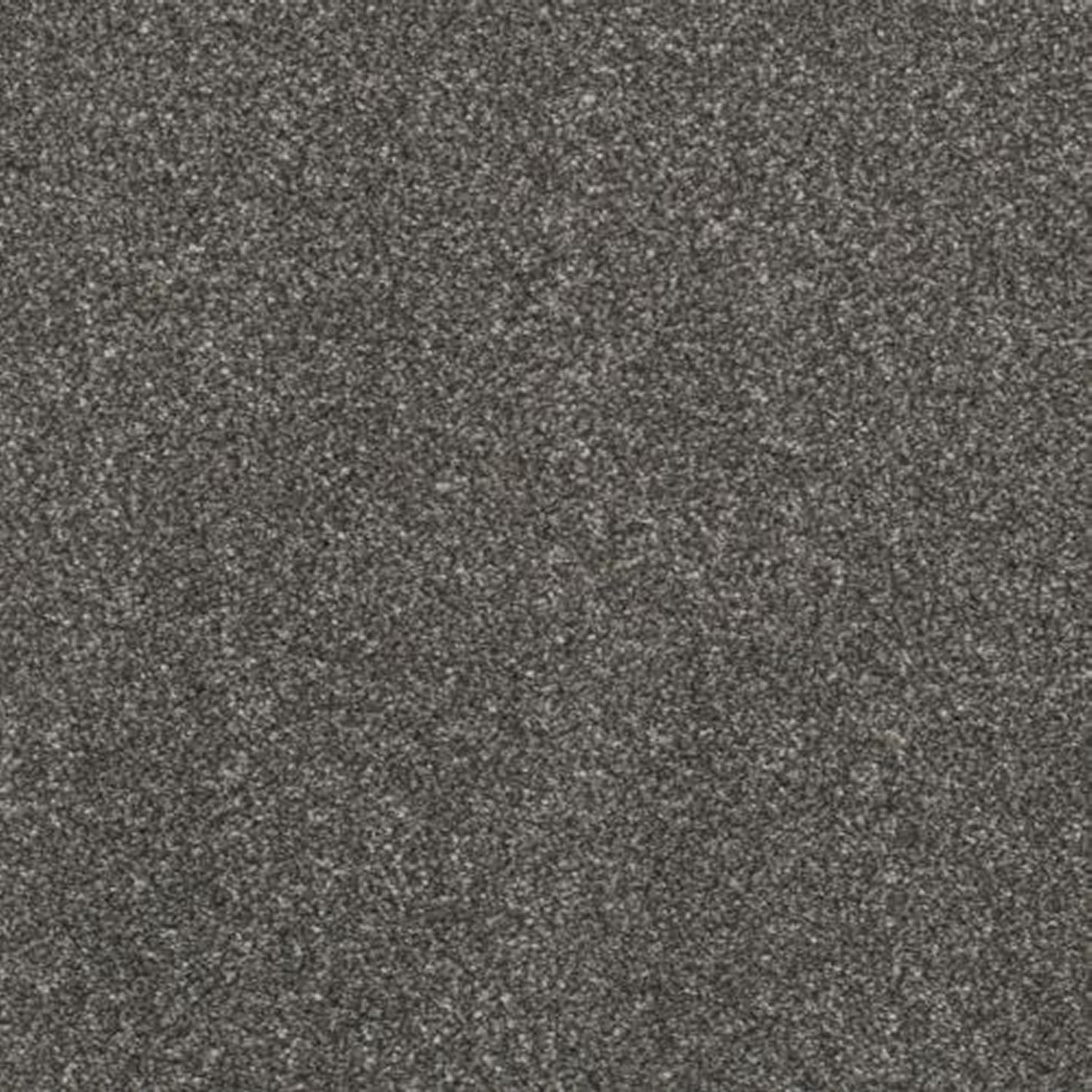 Victoria Carpets First Impressions Twist