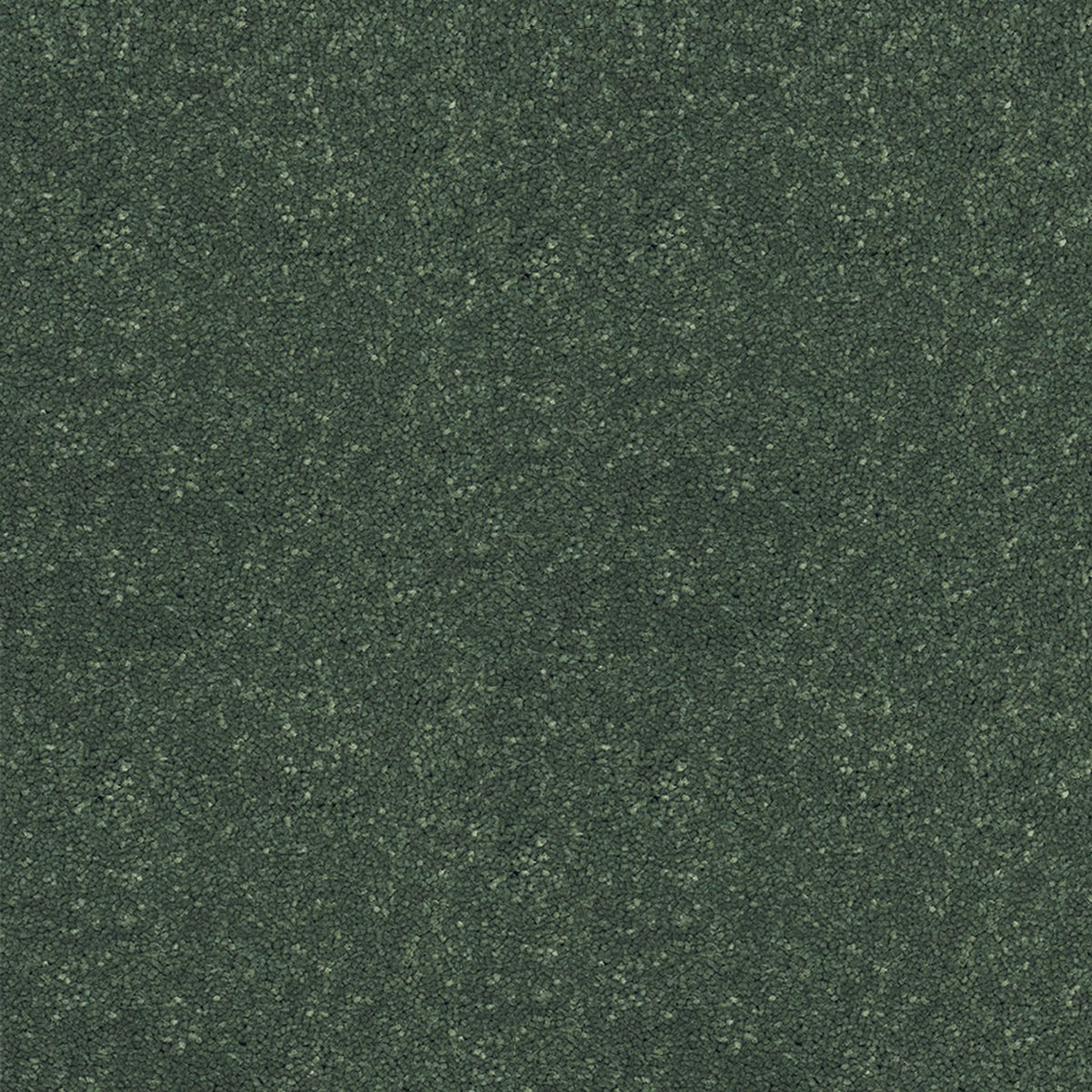 Victoria Carpets First Impressions Twist