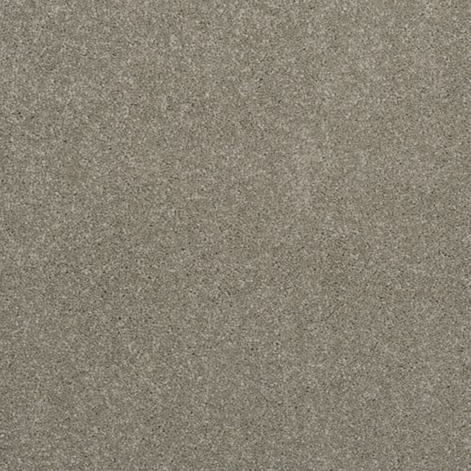 Victoria Carpets First Impressions Twist