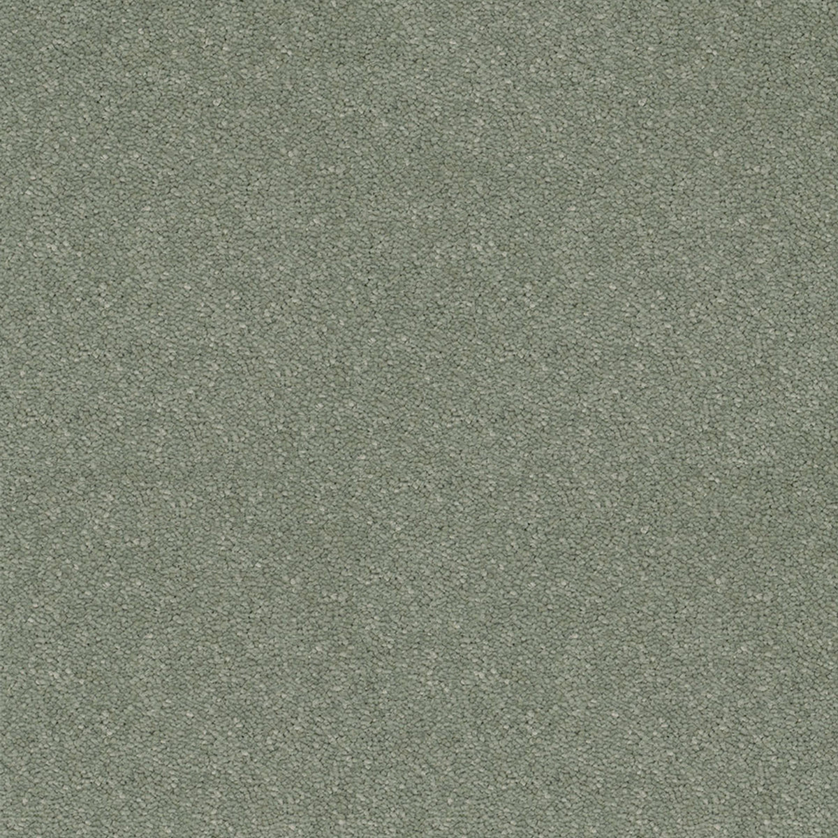 Victoria Carpets First Impressions Twist