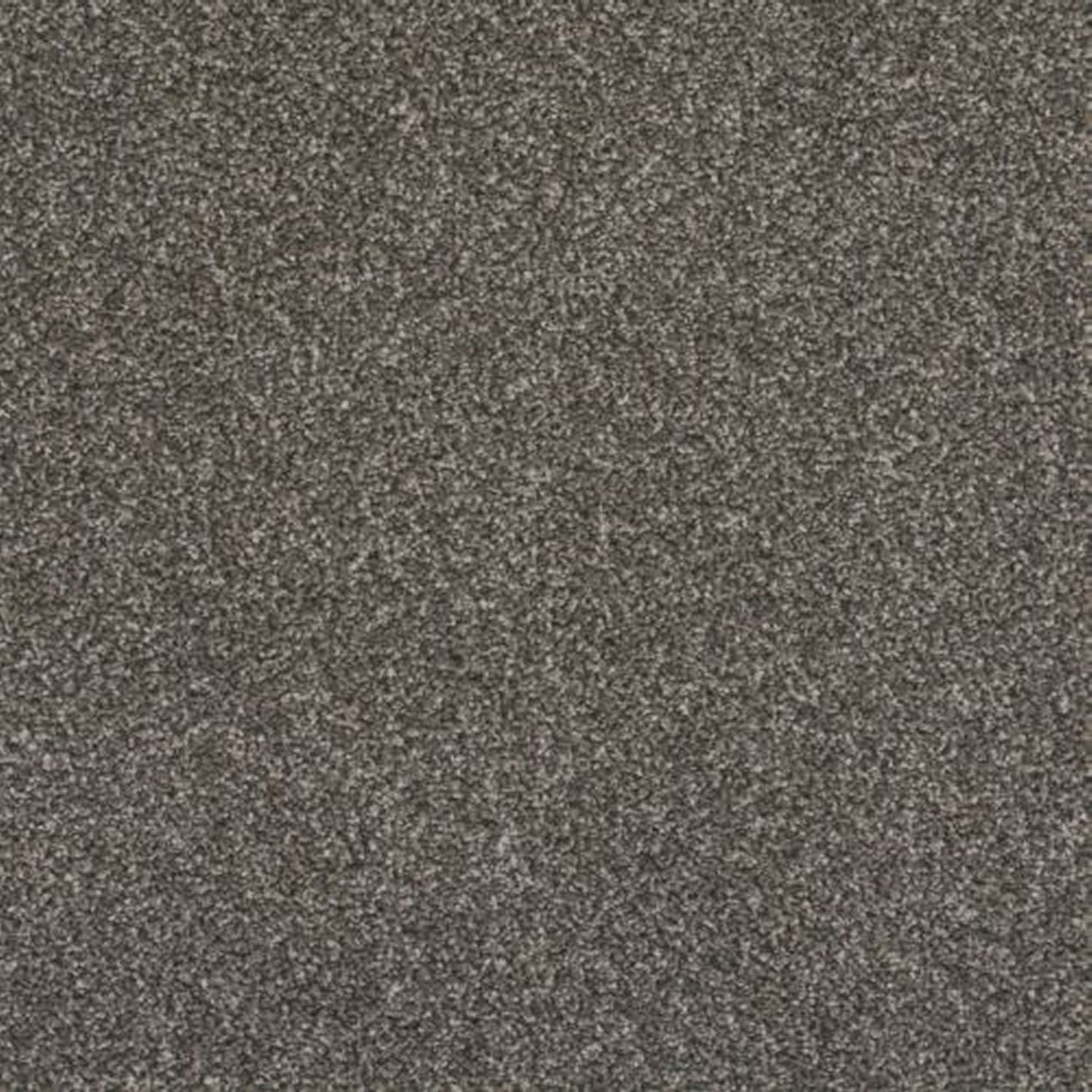 Victoria Carpets First Impressions Twist
