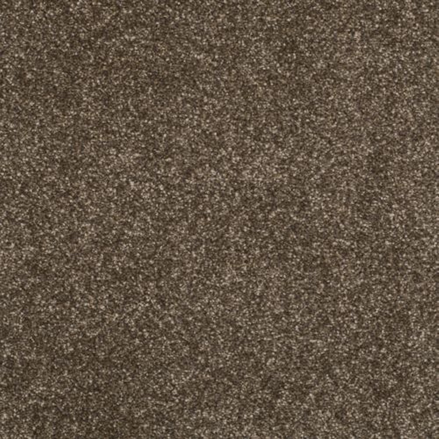 Victoria Carpets First Impressions Twist