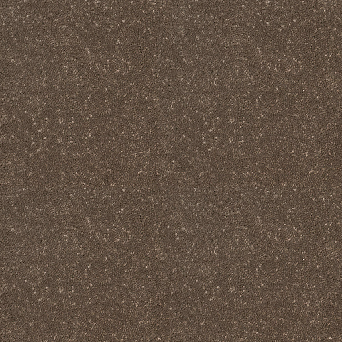 Victoria Carpets First Impressions Twist