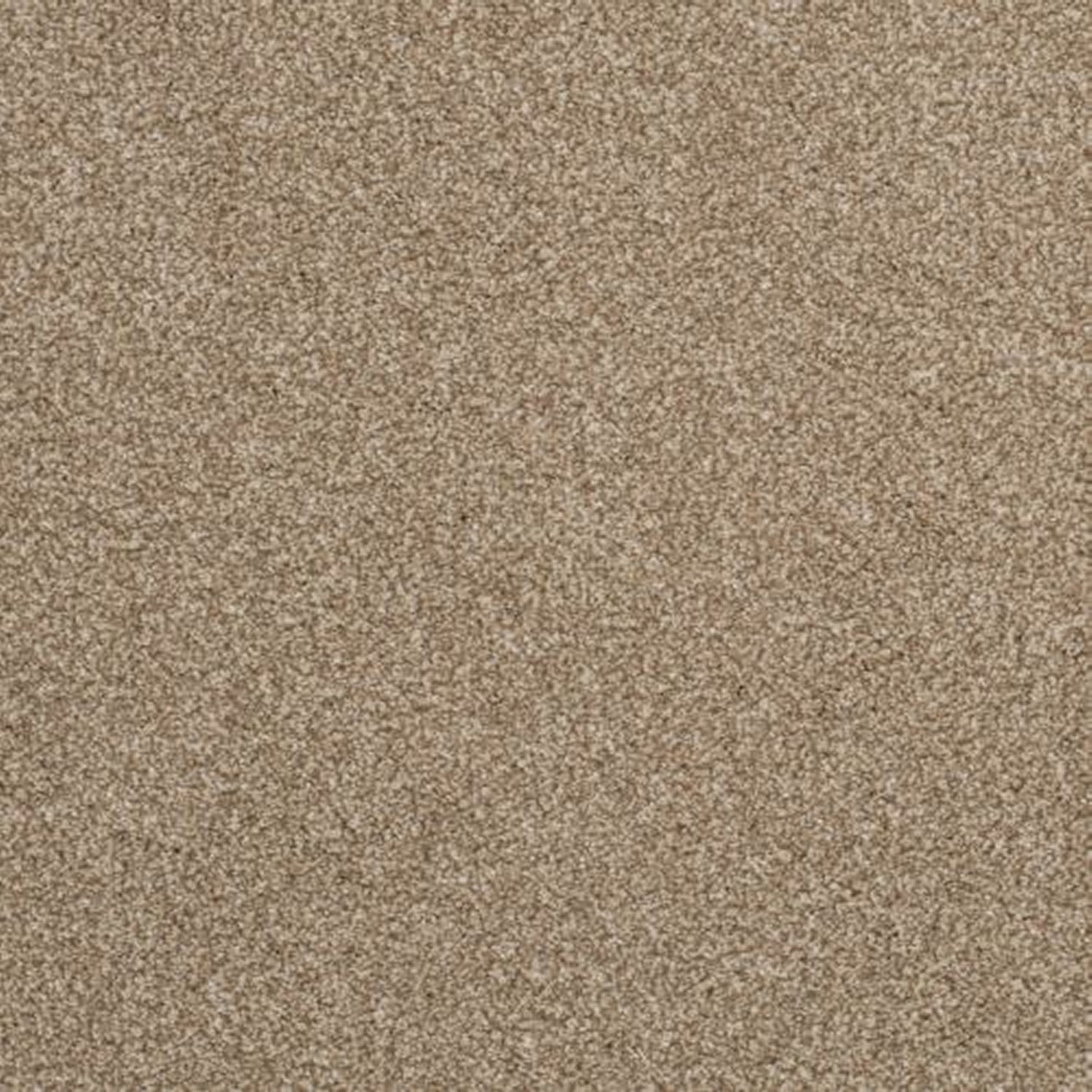 Victoria Carpets First Impressions Twist