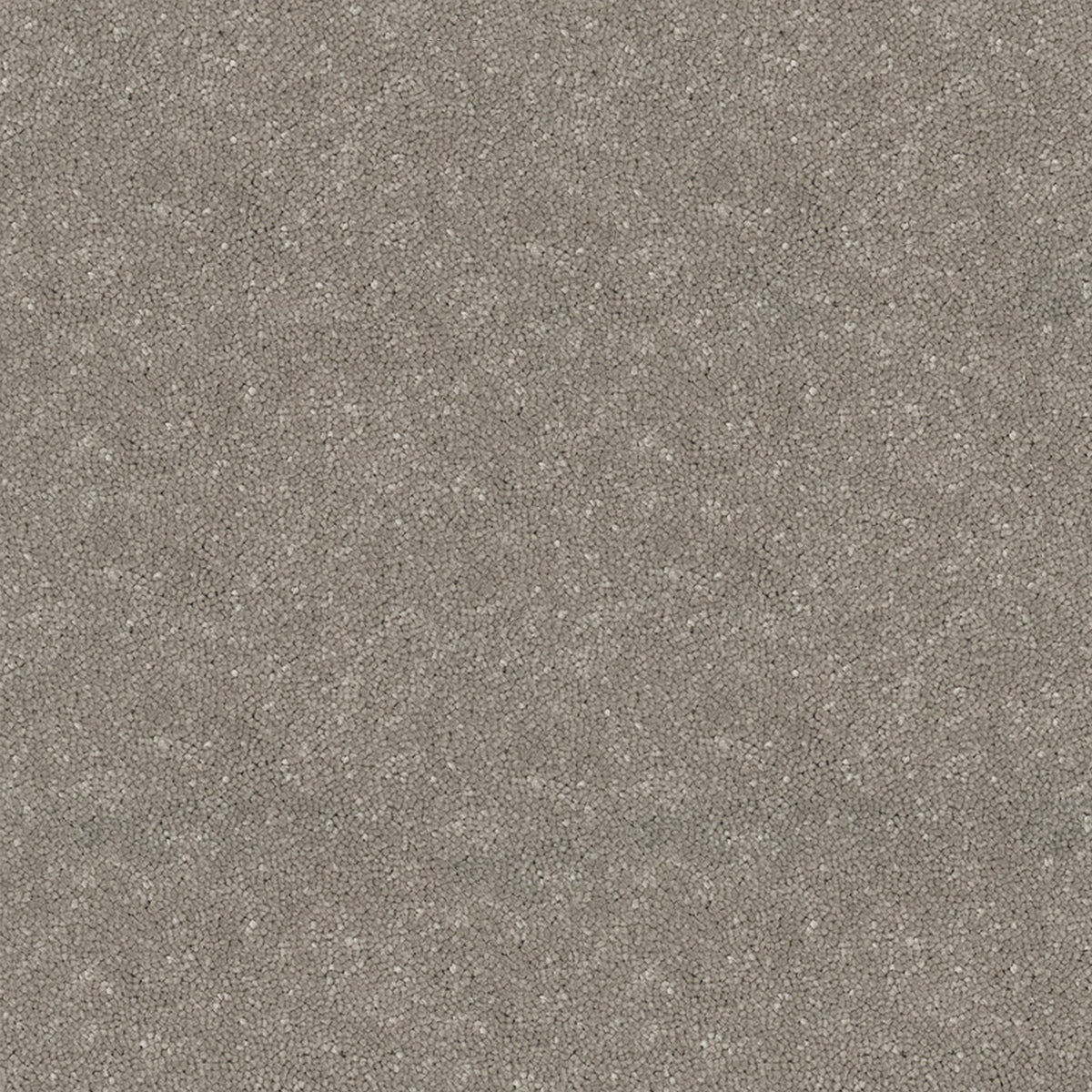 Victoria Carpets First Impressions Twist