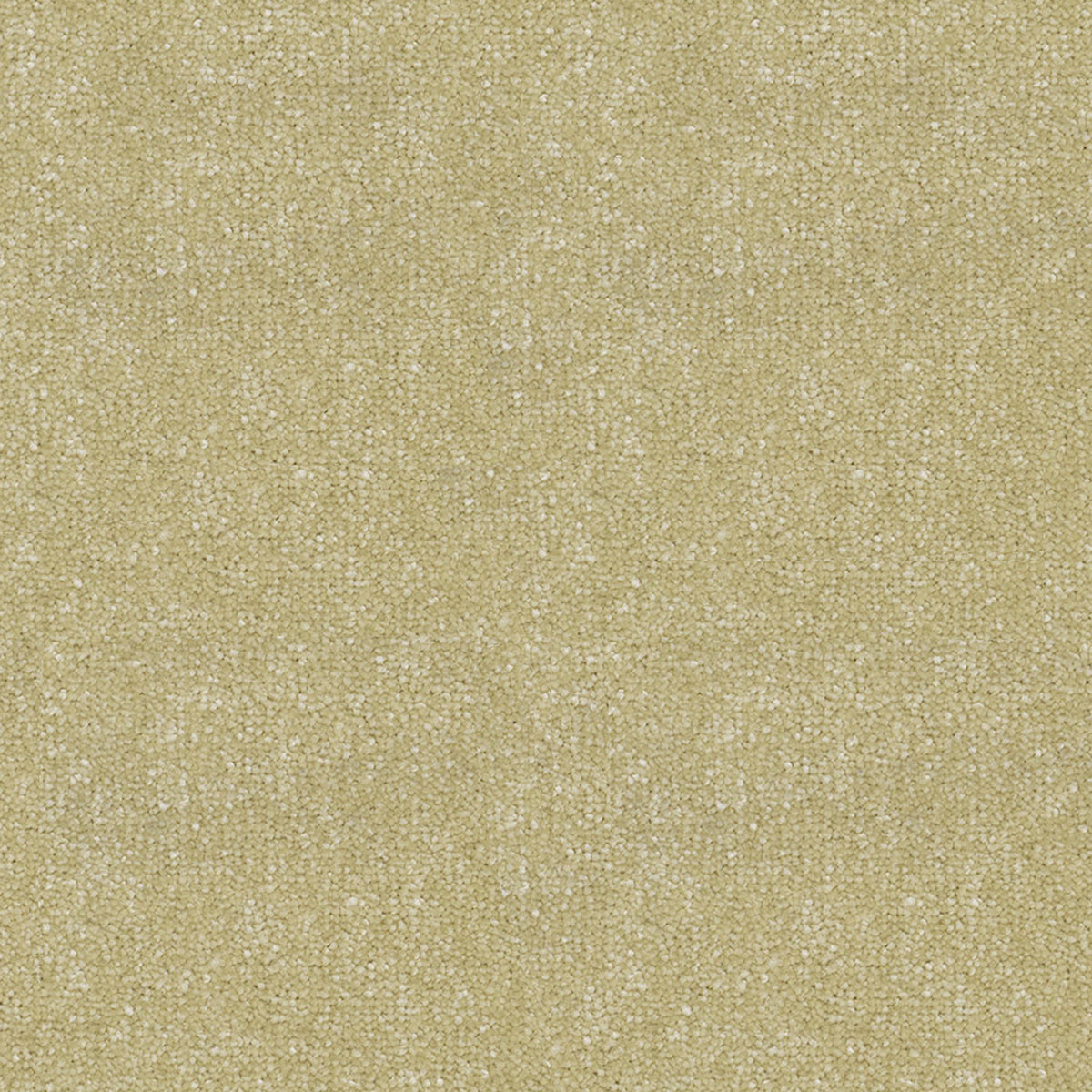 Victoria Carpets First Impressions Twist