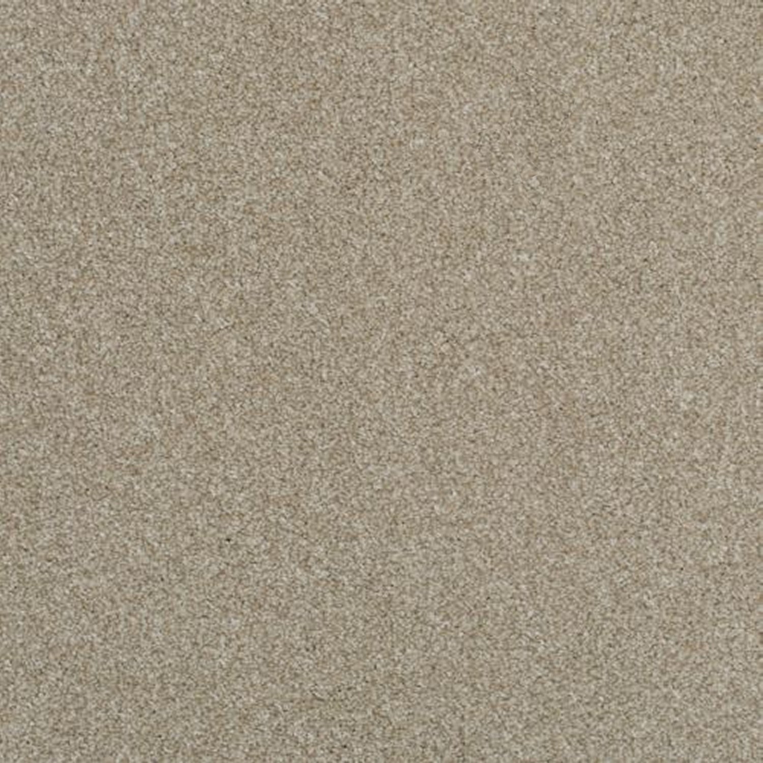 Victoria Carpets First Impressions Twist