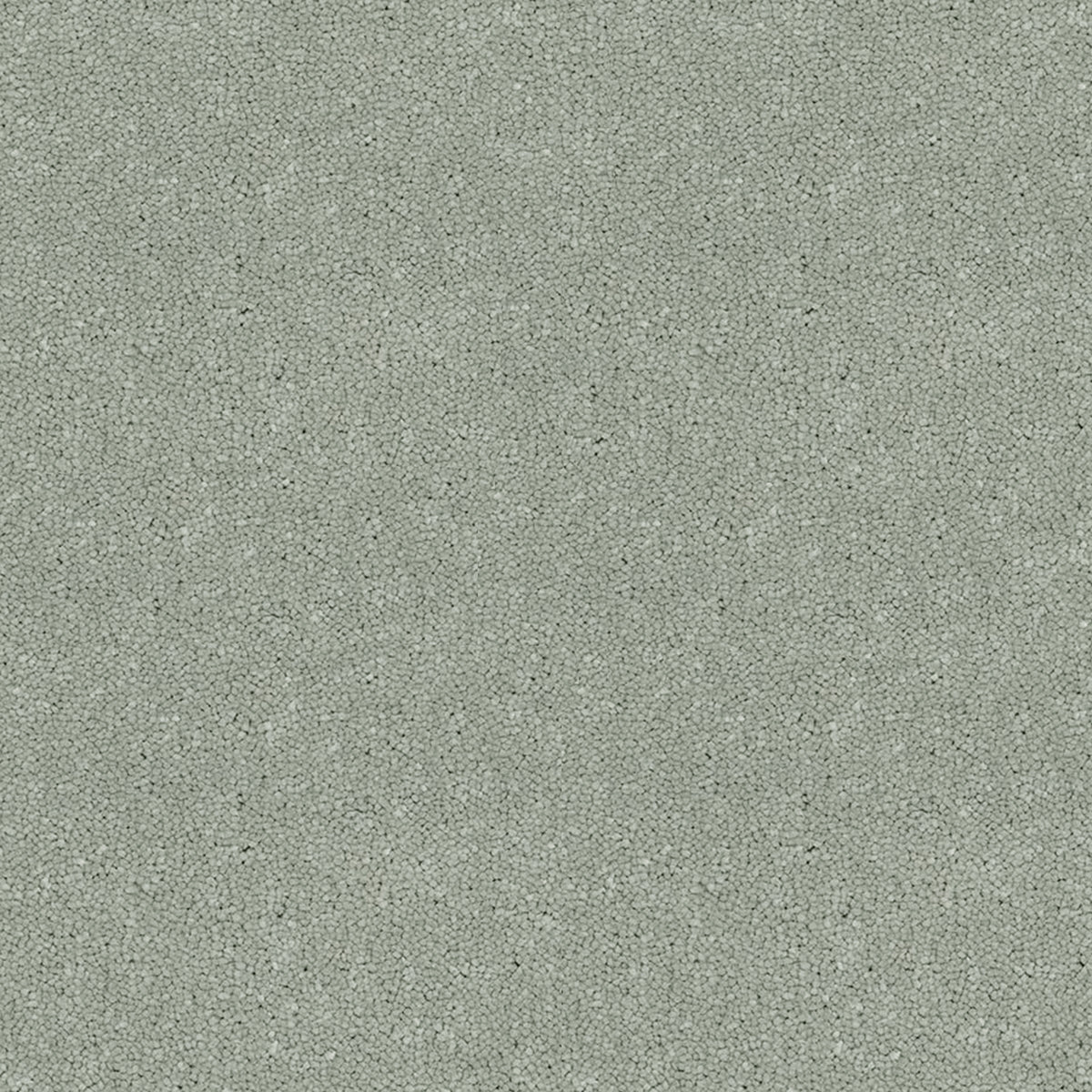 Victoria Carpets First Impressions Twist
