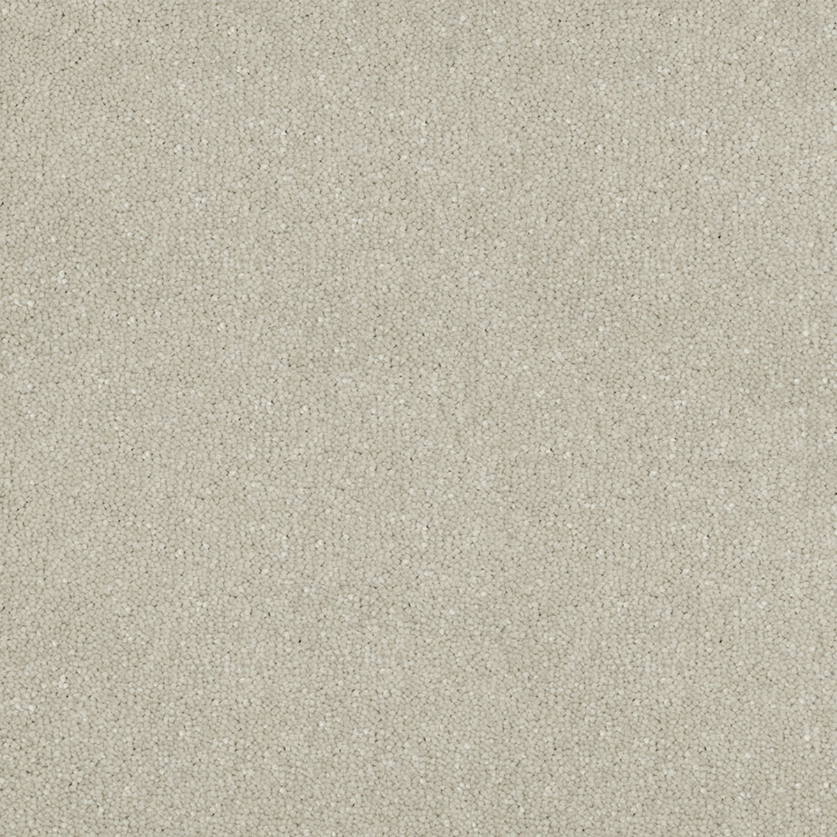 Victoria Carpets First Impressions Twist