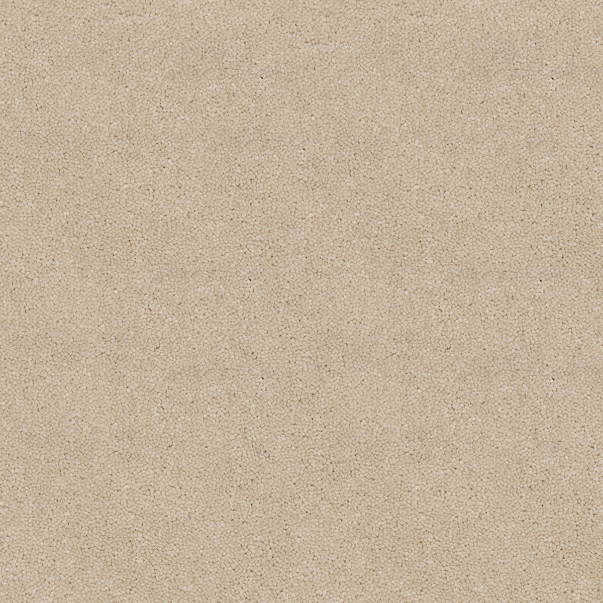 Victoria Carpets First Impressions Twist