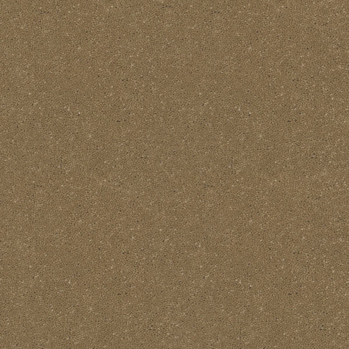 Victoria Carpets First Impressions Twist