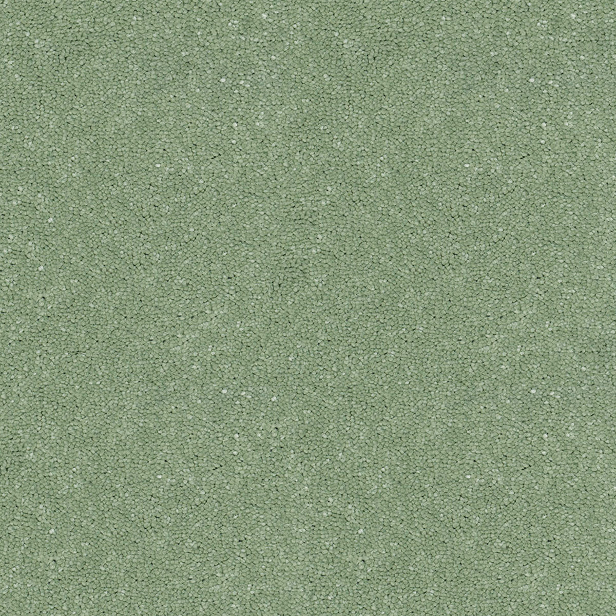 Victoria Carpets First Impressions Twist