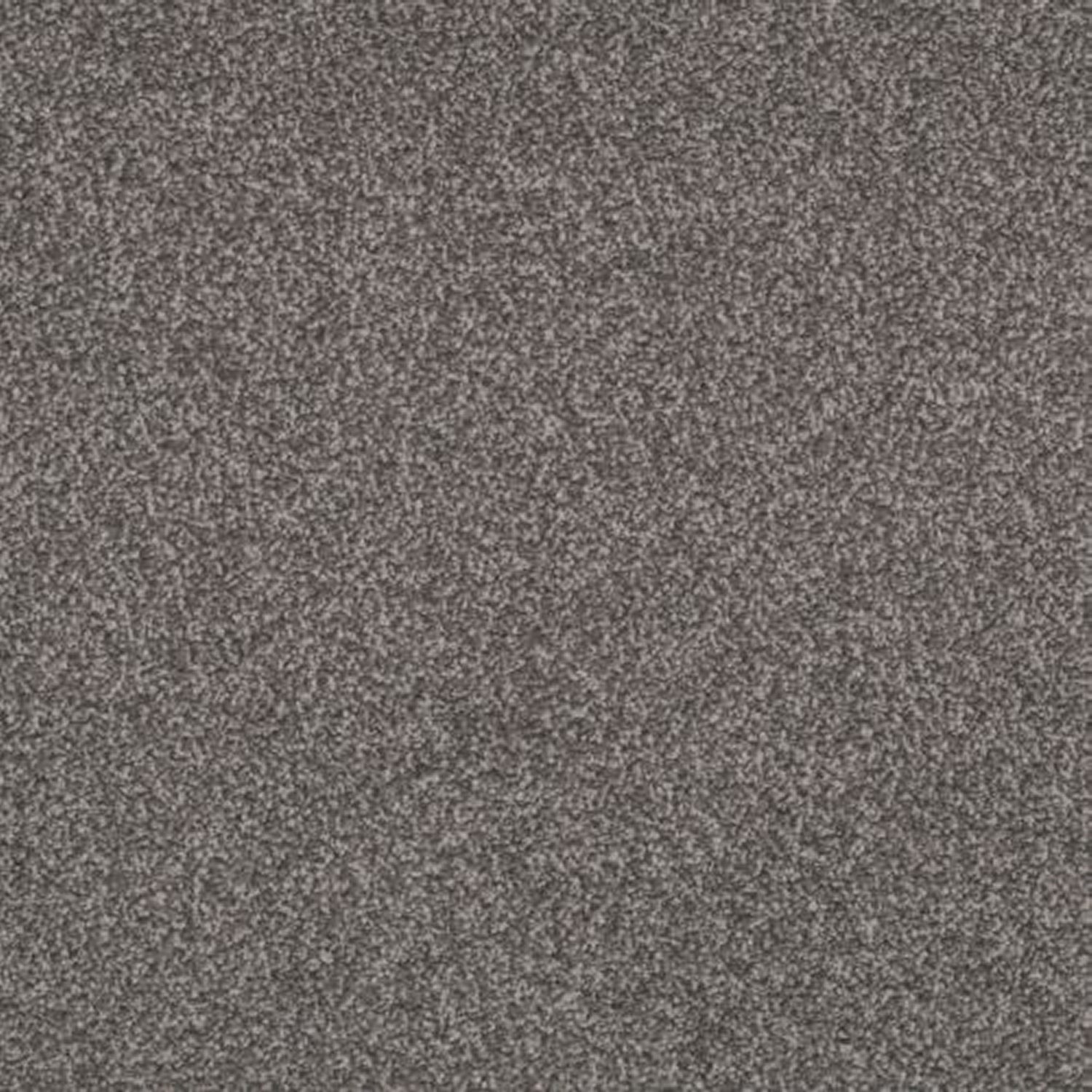Victoria Carpets First Impressions Twist
