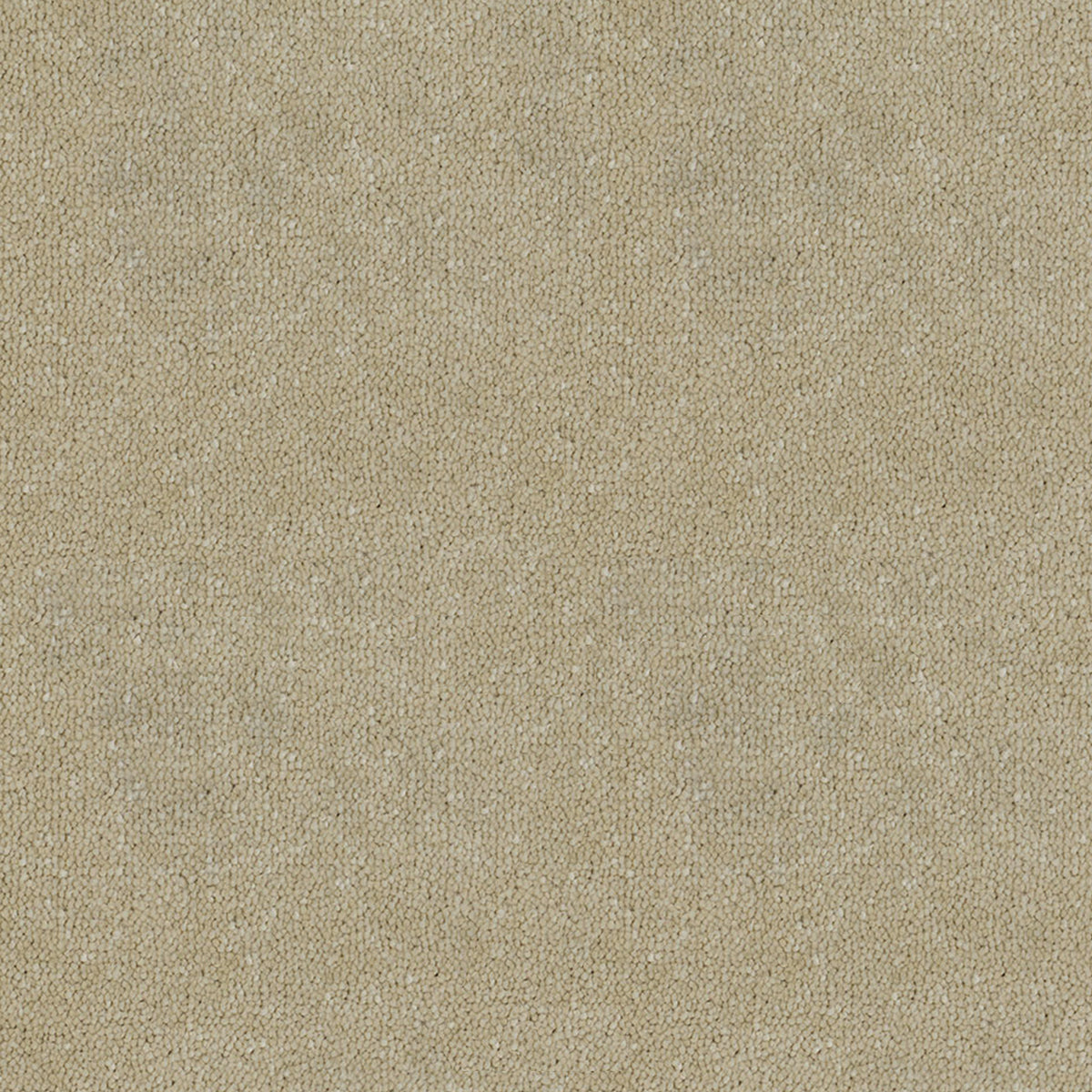Victoria Carpets First Impressions Twist
