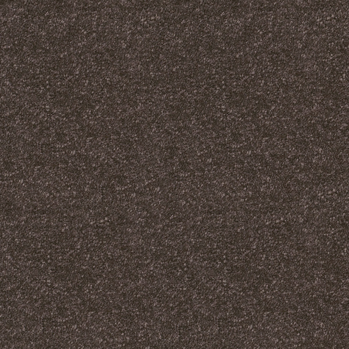 Victoria Carpets First Impressions Twist