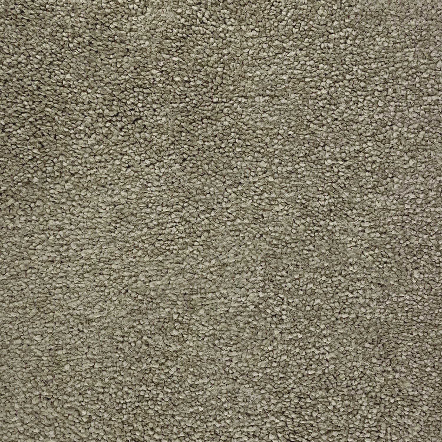 Victoria Carpets Pioneer Twist