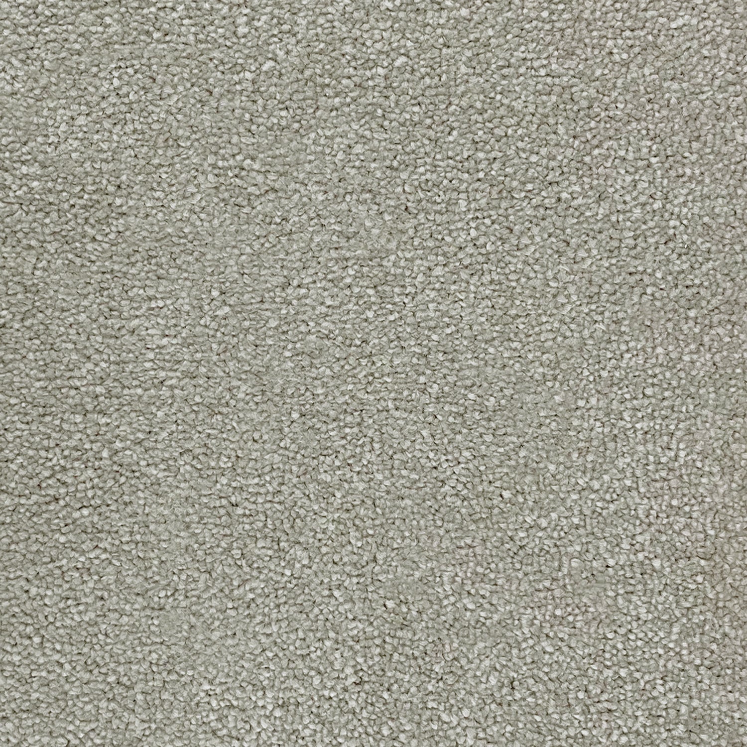 Victoria Carpets Pioneer Twist