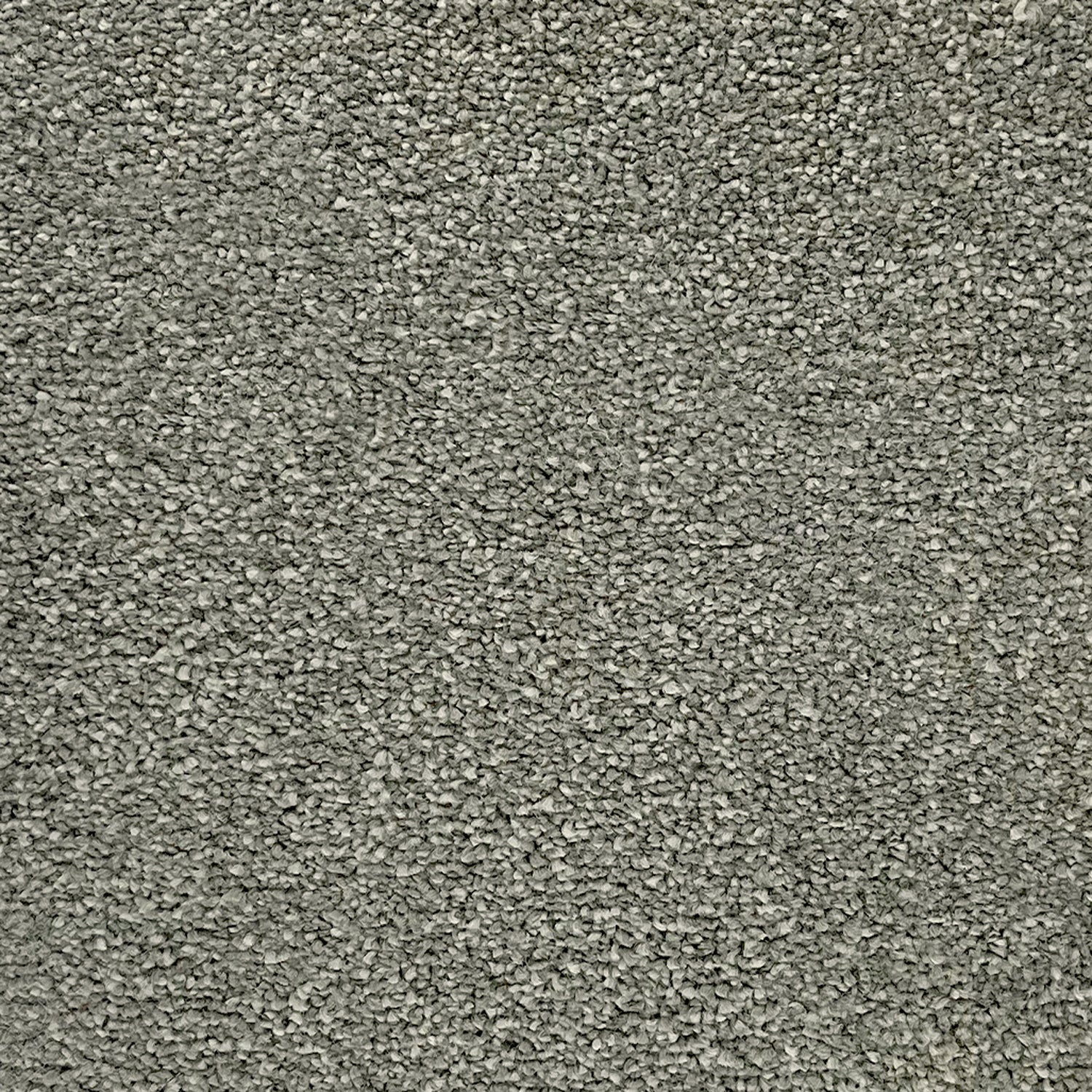 Victoria Carpets Pioneer Twist