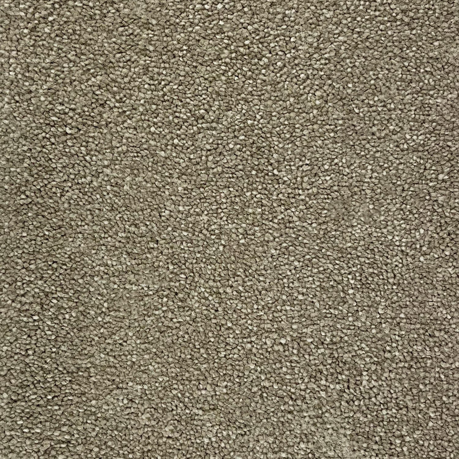 Victoria Carpets Pioneer Twist