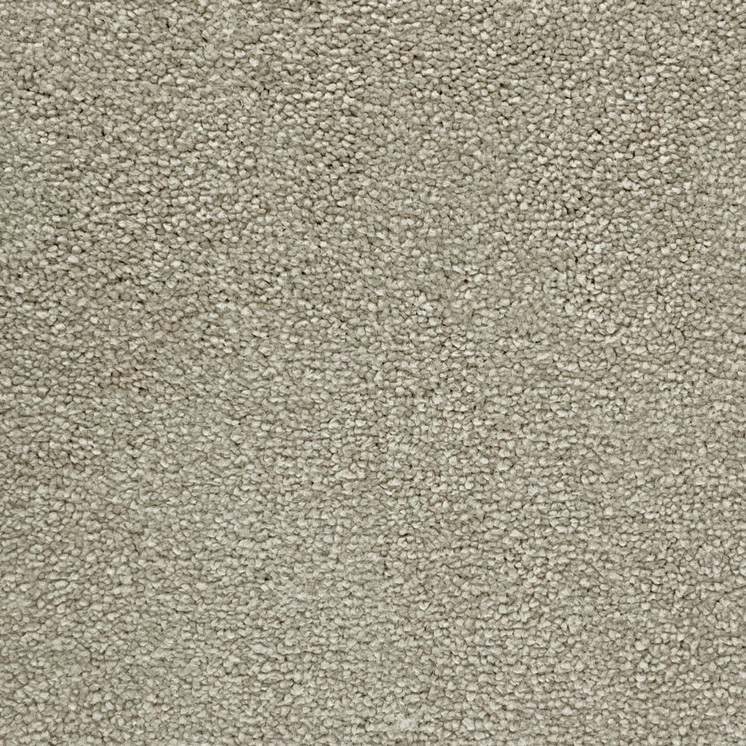 Victoria Carpets Pioneer Twist
