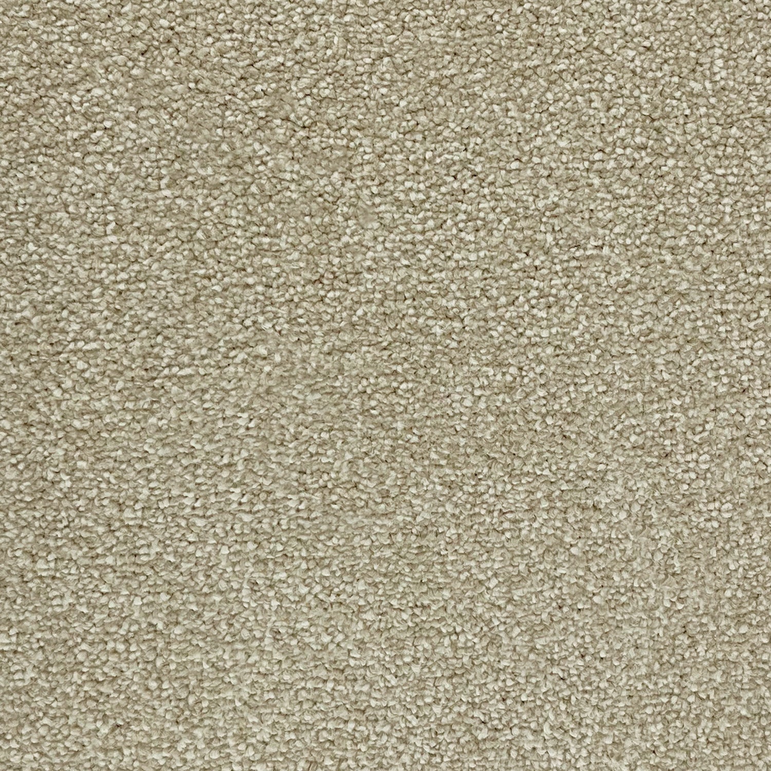 Victoria Carpets Pioneer Twist