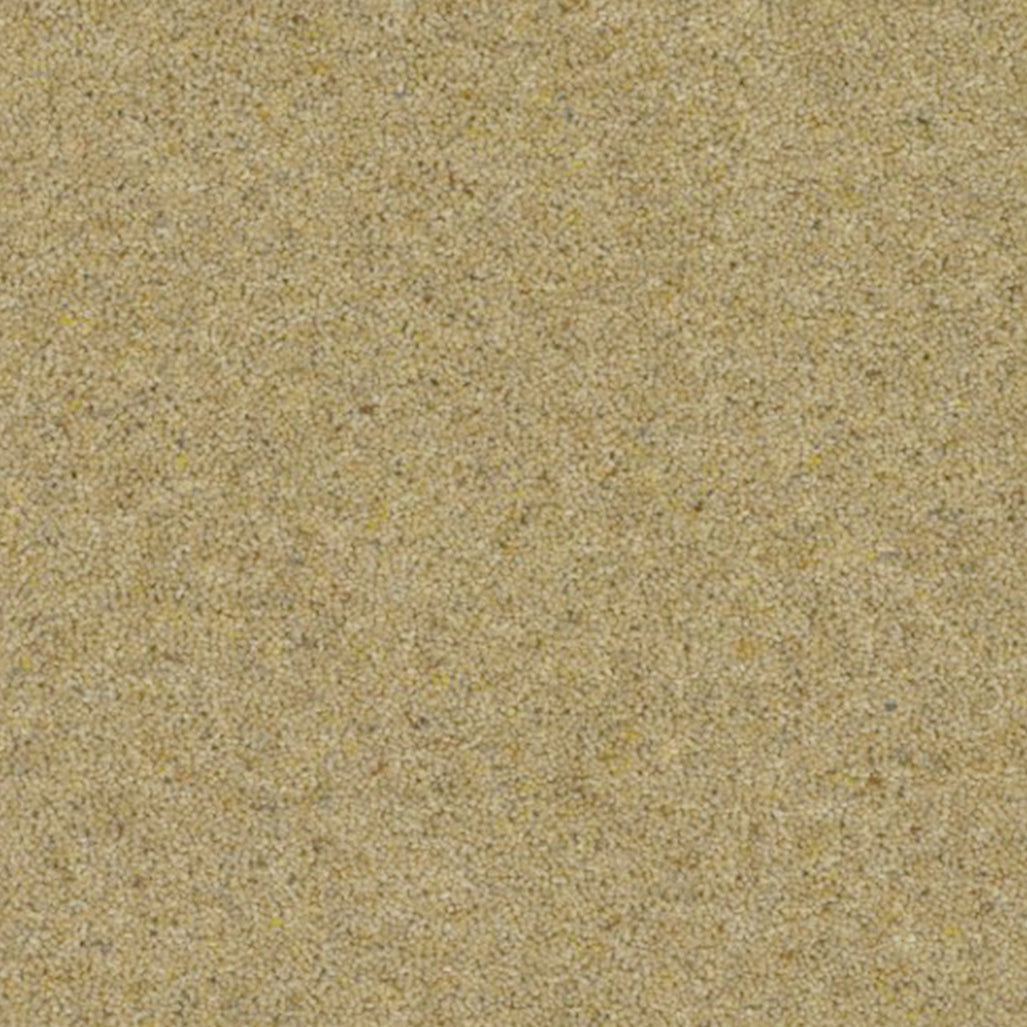 Victoria Carpets 57oz Strathmore Berber 80% Wool Blend Twist